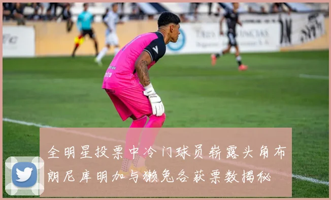全明星投票中冷门球员崭露头角布朗尼库明加与獭兔各获票数揭秘