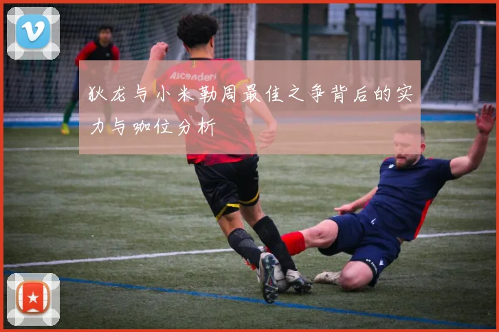 狄龙与小米勒周最佳之争背后的实力与咖位分析